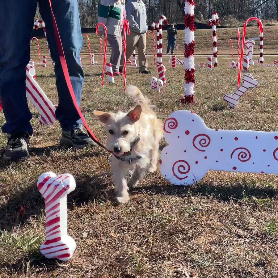 Catawba Valley Obedience Club, Hickory, NC
